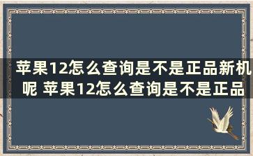 苹果12怎么查询是不是正品新机呢 苹果12怎么查询是不是正品新机子